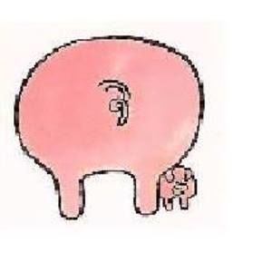 Meet your Posher, Marvin